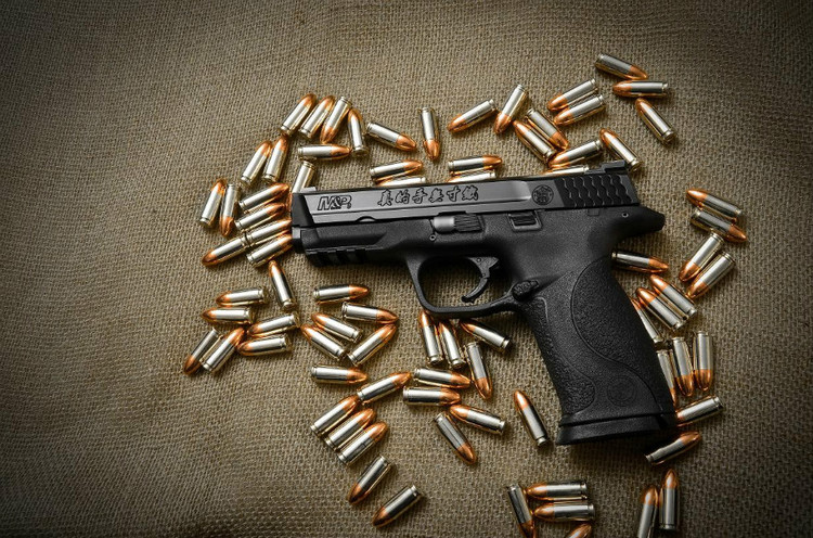 大胡子的军警手枪Smith Wesson MP 9mm - 真的手无寸铁 - 大胡子的博客