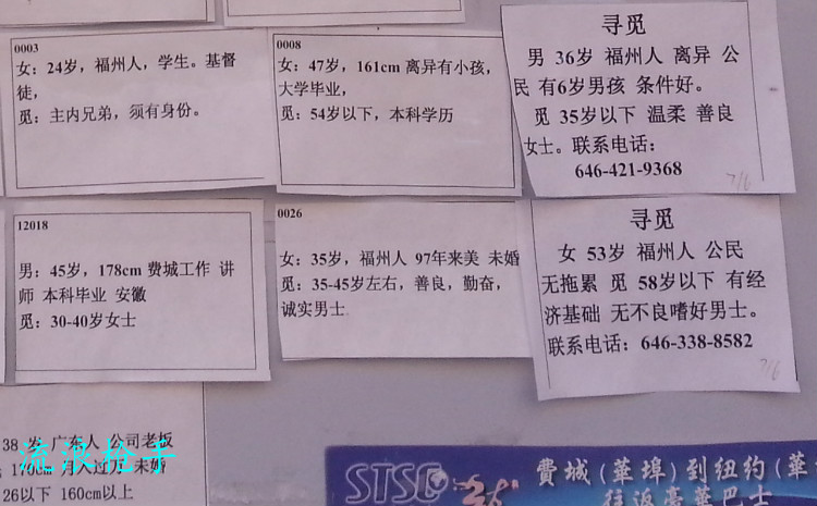 依然看重学位的美国华人征婚广告 - 流浪枪手 - 流浪枪手的驿站
