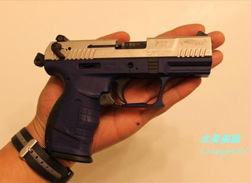 [原创]德国瓦尔特P22小手枪:附开瓜图 - 北美孤狼 - 北美孤狼的博客