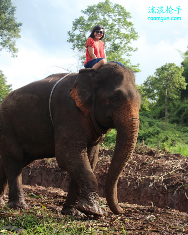 女儿暑假的大象之旅